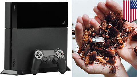 Cockroach in PS4: Cockroaches love to live it up inside Playstation 4 consoles - TomoNews