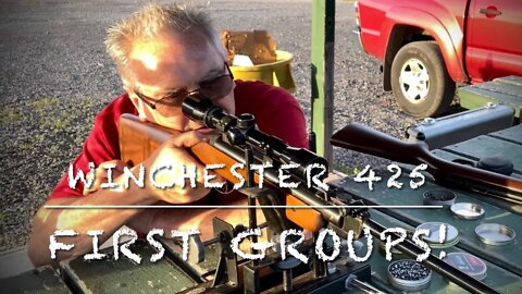 First range trip with the Winchester 425. Testing with Norma and Rifle brand premium pellets.