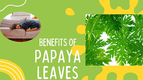 "Papaya Leaves : A Nutrient-Rich Elixir for Health and Wellness"