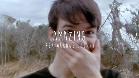 Rex Orange County - AMAZING