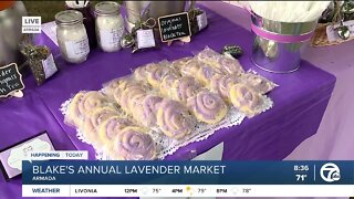 Blake's Annual Lavender Market