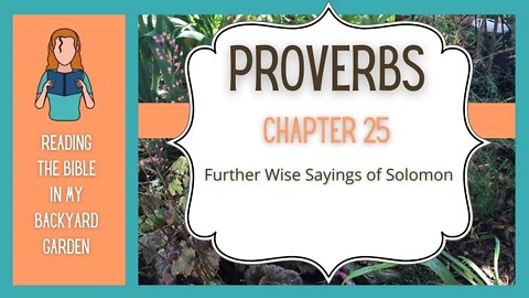Proverbs Chapter 25 | NRSV Bible