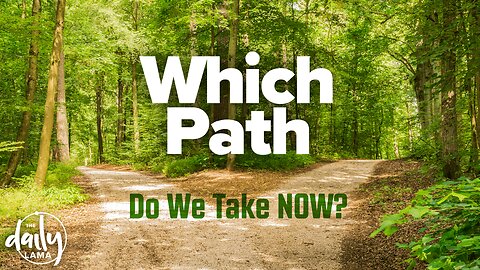 Which Path Do We Take Now?
