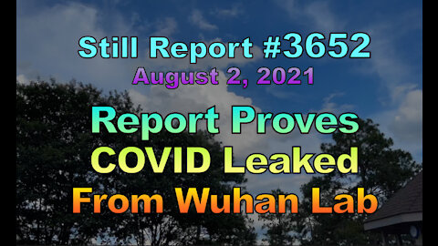 Report Proves COVID Leaked From Wuhan Lab, 3652