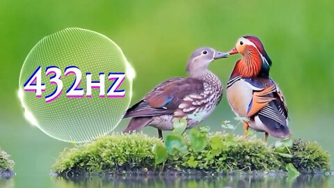 432hz - Healing Love wave "Activates Right Brain" Creates Peaceful Environment and invites Happiness