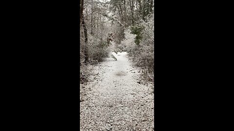 Storm Lorraine ASMR