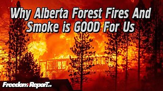 WHY ALBERTA FOREST FIRES AND SMOKE ARE GOOD FOR CALGARY AND THE PROVINCE