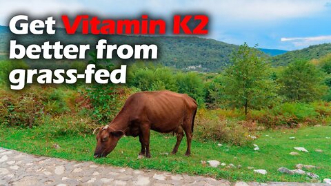 Q & A: What's the fuss about vitamin K2 and grass-fed beef?