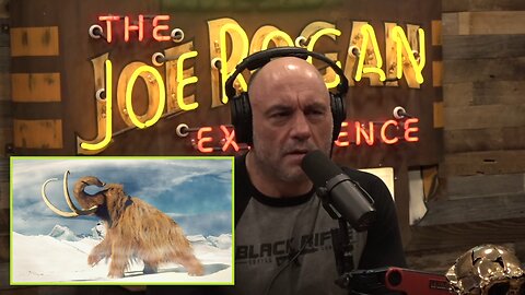 Joe Rogan & Forrest Galante - The Company Trying to Clone Woolly Mammoths