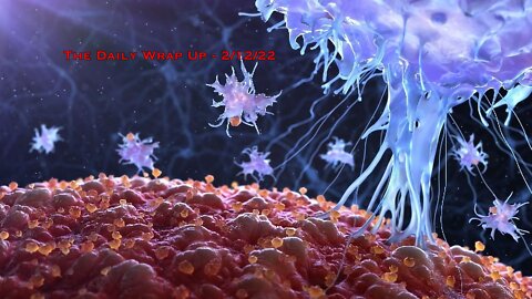 Deep Dive: Vaccine Acquired Immune Deficiency Syndrome, HIV Inserts In SARS-CoV-2 & The Aftermath