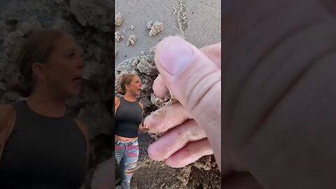 He found $1,000,000 all at once with a metal detector?