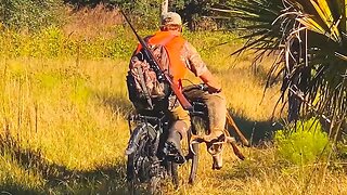 8 point buck on Florida public land {catch & cook}