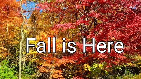 Fall Foliage Upstate New York