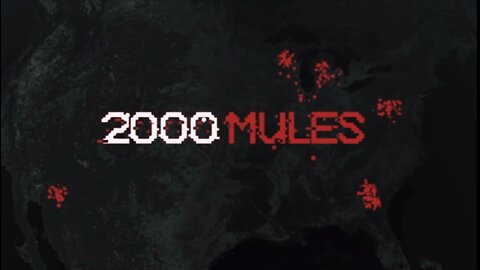 2000 Mules | Dinesh D'souza