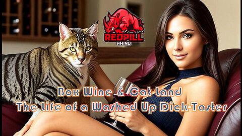 Box Wine & Cat Land: The Life of a Washed Up Dick-Taster