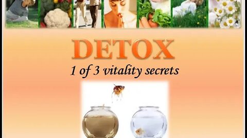 Detox, Vitality Project, Vietnam Chapter
