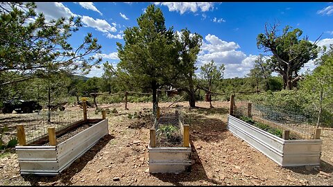 Homestead Progress Part 2: Food Production Install & Natural Materials Fencing + Healthy Change