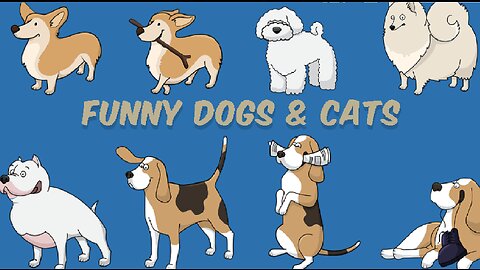Funny Dogs & Cats - Don't Laugh