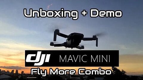 DJI MAVIC MINI (Fly More Combo) - Unboxing + Demo