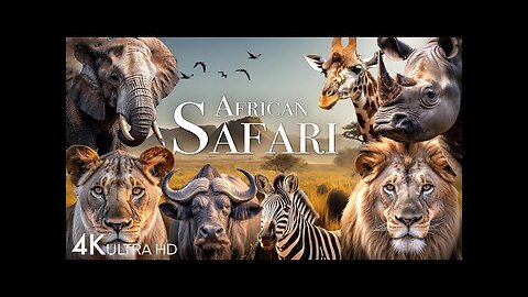 African Safari 4K - Amazing Wildlife of African Savanna