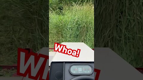 Ventrac 4520z Destroying 6 Foot Tall Grass