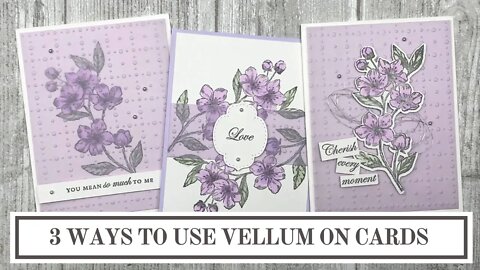 3 Simple Ways to Start Using Vellum in Card Making