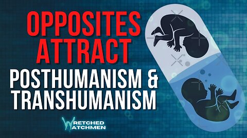 Opposites Attract: Posthumanism & Transhumanism