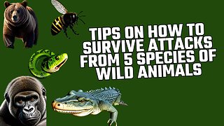Tips on How to Survive Attacks from 5 Species of Wild Animals.