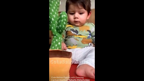 17feb2024 |Cute Babies Playing with Dancing Cactus (Hilarious) Cute Baby Funny Videos