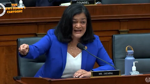 Dem Rep. Jayapal makes excuses for Biden's border crisis, then claims you can't find any illegal immigrants at the border with a flash light, then blames Trump & Republicans for the border crisis.