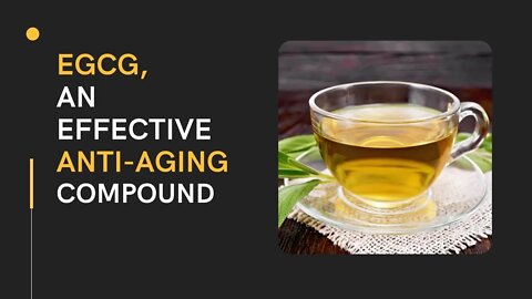 EGCG / An effective anti aging compound