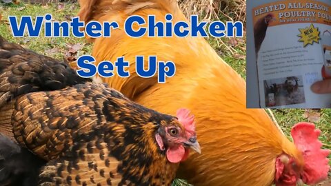 Prevent Water From Freezing In Winter | Winter Chicken Set Up | Heated Poultry Water Fount