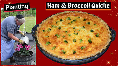 Scrumptious Homemade Cheesy Ham and Broccoli Quiche, Planting Sweet Potatoes, Inspirational Thought