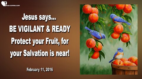 Feb 11, 2016 ❤️ Jesus says... Be vigilant and ready, and protect your Fruit, for your Salvation near