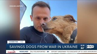 Positively 23ABC: Saving dogs from war in Ukraine