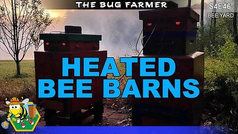 First Night With Beehive Heaters | Bee Barn Heaters Activated #beekeeping #insects #innovation
