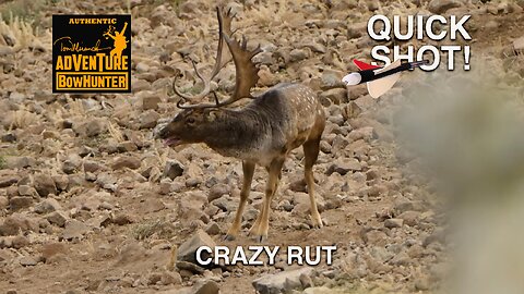 CRAZY RUT - QUICK SHOT!