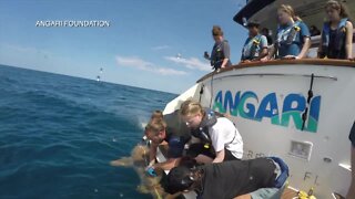 Palm Beach County students receive up-close education on sharks