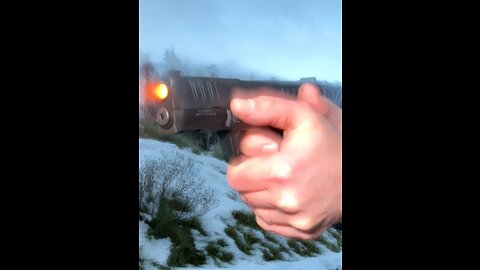 Do it ALL 9mm | Goldilocks Springfield Armory Hellcat Pro | Glock 19 coup d'etat? #shorts #alaska