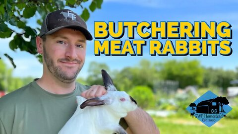 Butchering Meat Rabbits with @Sage and Stone Homestead