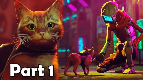 Let's Take Care Of This Lonely Cat STRAY PS5 Gameplay Part 1 #straycat #stray #game #boringgamer