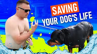 How To SAVE Your Dog From DROWNING!