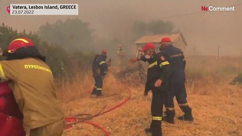 VIDEO Emergency evacuation on the Greek island of Lesbos due to forest fire Euronews