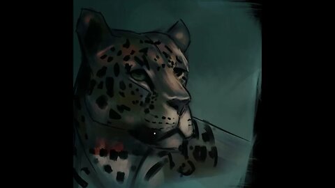 Leopard Speedpaint DTYIS