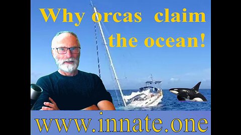 Orcas destroying sailboats have a message for us!
