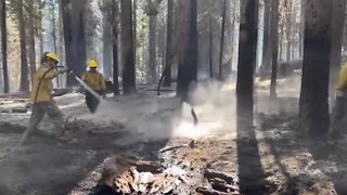 Crews work around the clock to contain Washburn Fire in Yosemite