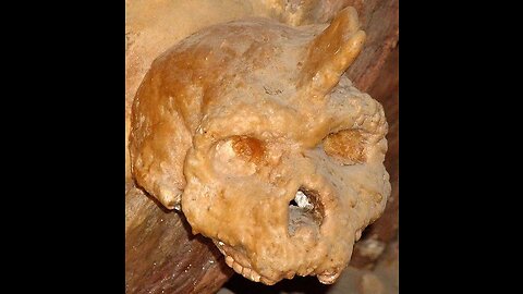Κρανίο 750.000 ετών που βρέθηκε στο σπήλαιο των Πετραλώνων