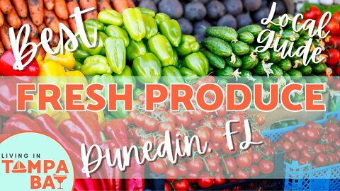 Dunedin Florida Produce Market | Steve's Produce