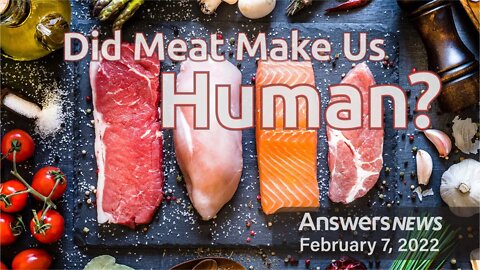 Did Meat Make Us Human?