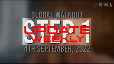 ECHOREEL * THE GLOBAL WALK OUT UPDATE * HOW I DID STEP 1 * DIRECT FROM MONICA